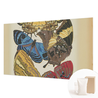 Visokokakovostna fototapeta Navdih za metulje