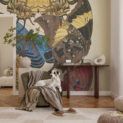 Visokokakovostna fototapeta Navdih za metulje