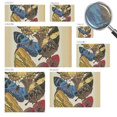 Visokokakovostna fototapeta Navdih za metulje