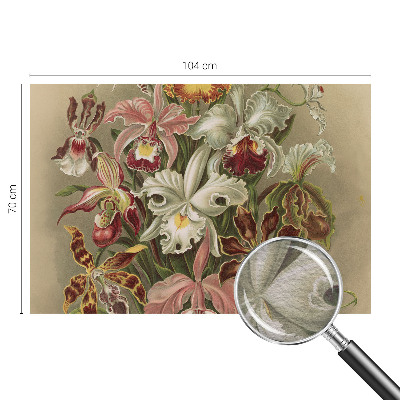 Dekorativna fototapeta Cvetlična eleganca