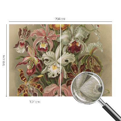 Dekorativna fototapeta Cvetlična eleganca