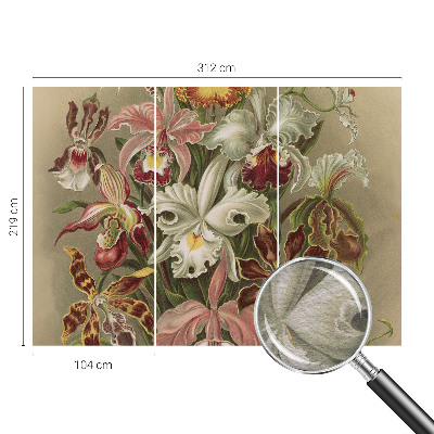 Dekorativna fototapeta Cvetlična eleganca