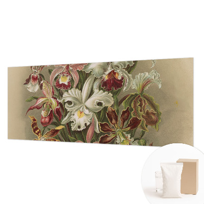 Dekorativna fototapeta Cvetlična eleganca