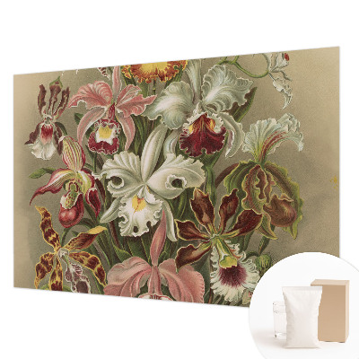 Dekorativna fototapeta Cvetlična eleganca