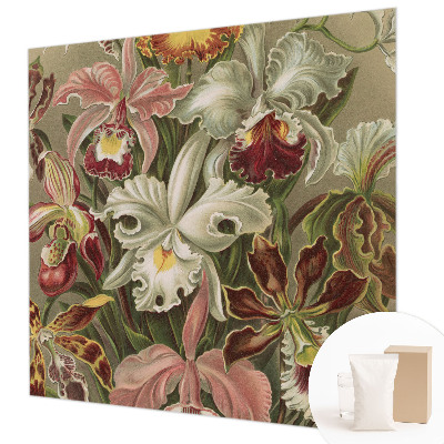 Dekorativna fototapeta Cvetlična eleganca