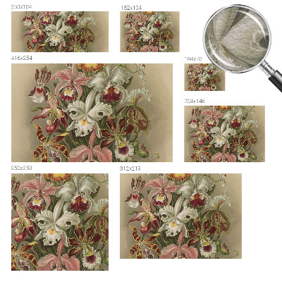 Dekorativna fototapeta Cvetlična eleganca