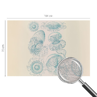 Stenska dekoracija fototapeta Morske meduze