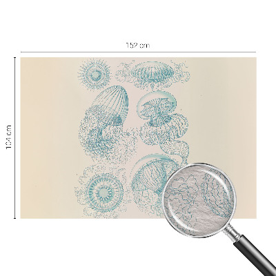 Stenska dekoracija fototapeta Morske meduze