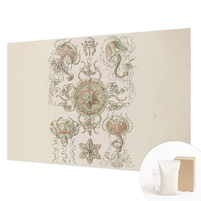 Fototapeta s tiskom z motivom podvodnega sveta