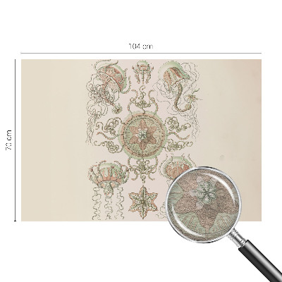 Fototapeta s tiskom Podvodni svet