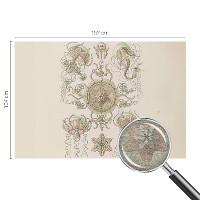 Fototapeta s tiskom Podvodni svet