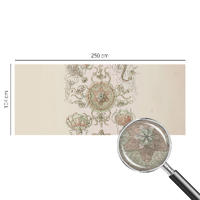 Fototapeta s tiskom Podvodni svet