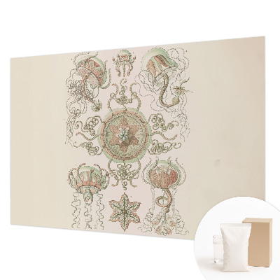 Fototapeta s tiskom Podvodni svet