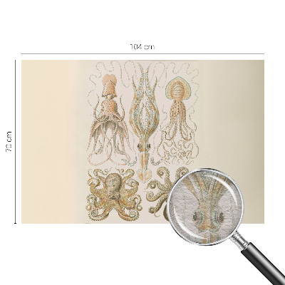 Fototapeta Morsko življenje