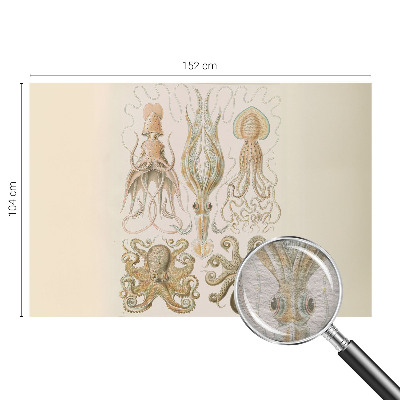 Fototapeta Morsko življenje