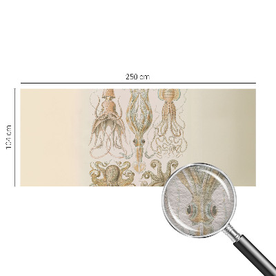 Fototapeta Morsko življenje