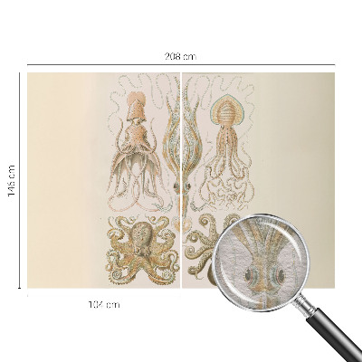 Fototapeta Morsko življenje