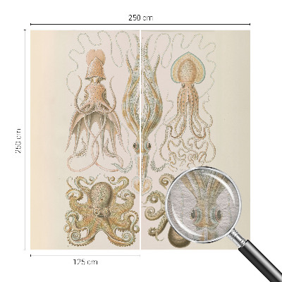 Fototapeta Morsko življenje