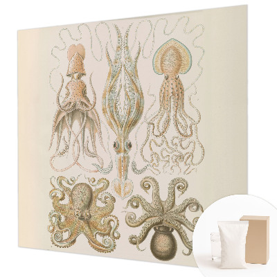 Fototapeta Morsko življenje