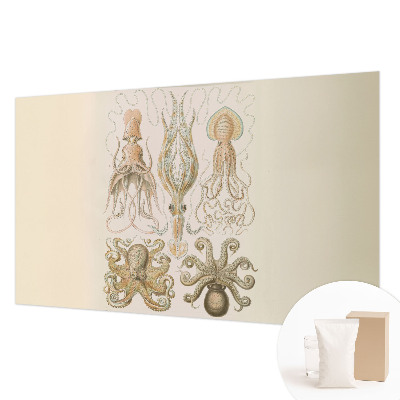 Fototapeta Morsko življenje