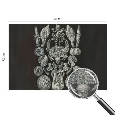 Foto tapeta Podvodne oblike