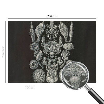 Foto tapeta Podvodne oblike