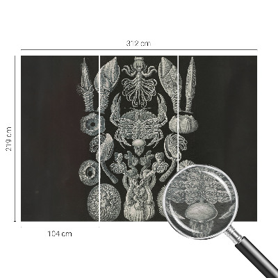 Foto tapeta Podvodne oblike