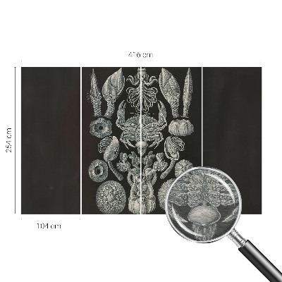 Foto tapeta Podvodne oblike