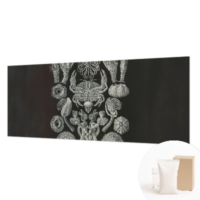 Foto tapeta Podvodne oblike