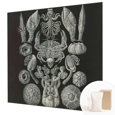 Foto tapeta Podvodne oblike