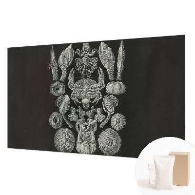 Foto tapeta z motivom podvodnih oblik