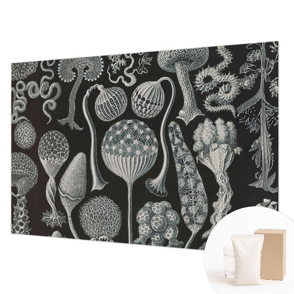 Flis fototapeta Čarobne rastline