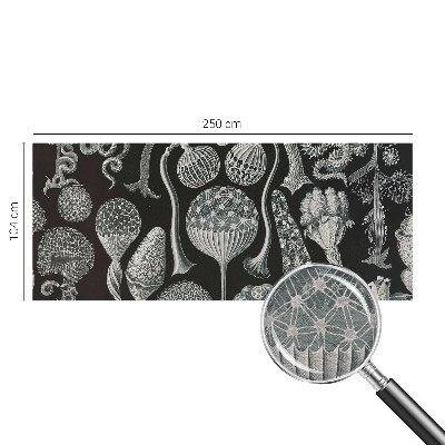 Flis fototapeta Čarobne rastline