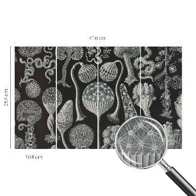 Flis fototapeta Čarobne rastline