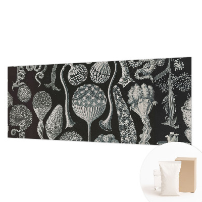 Flis fototapeta Čarobne rastline