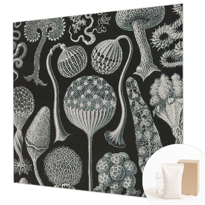 Flis fototapeta Čarobne rastline