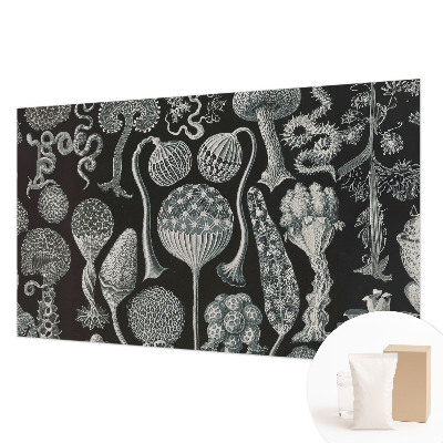 Flis fototapeta Čarobne rastline