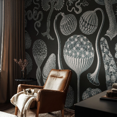 Flis fototapeta Čarobne rastline