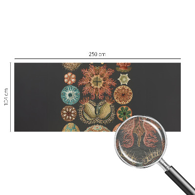 Visokokakovostna fototapeta Morski navdihi