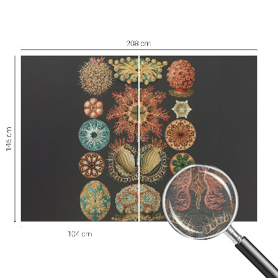 Visokokakovostna fototapeta Morski navdihi