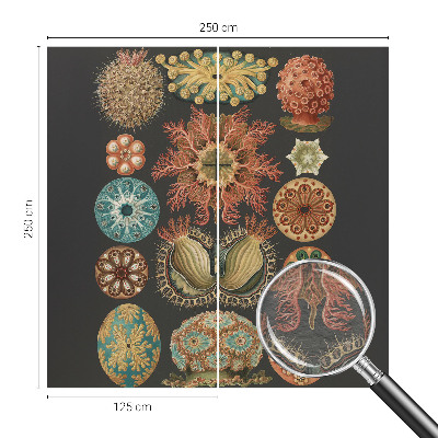 Visokokakovostna fototapeta Morski navdihi
