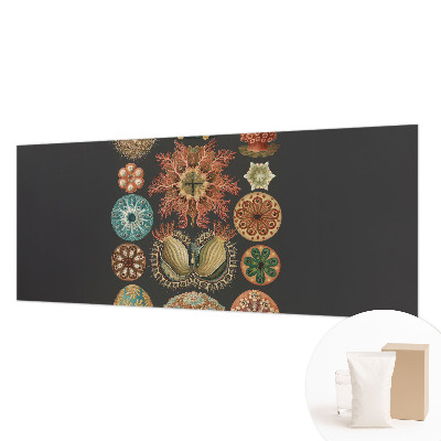 Visokokakovostna fototapeta Morski navdihi