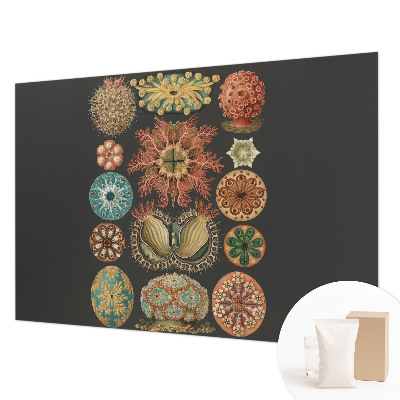 Visokokakovostna fototapeta Morski navdihi