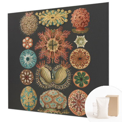 Visokokakovostna fototapeta Morski navdihi