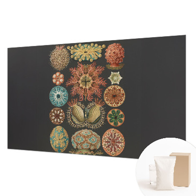 Visokokakovostna fototapeta Morski navdihi