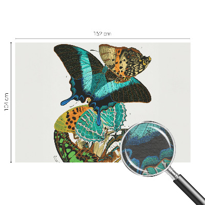 Fototapeta za steno Barviti metulji