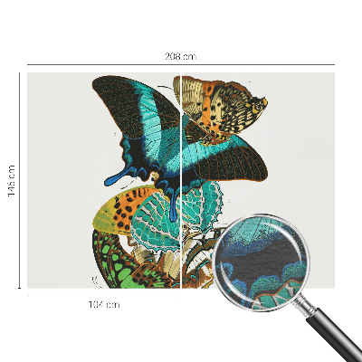 Fototapeta za steno Barviti metulji