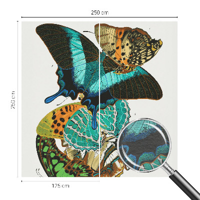 Fototapeta za steno Barviti metulji