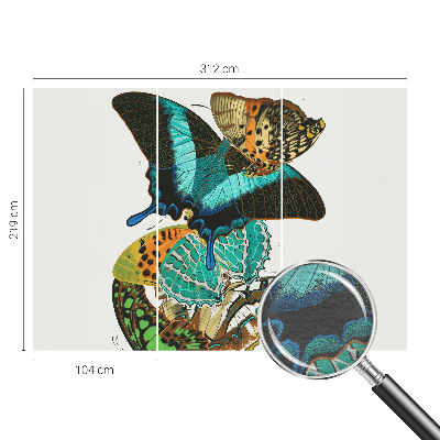 Fototapeta za steno Barviti metulji