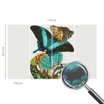 Fototapeta za steno Barviti metulji